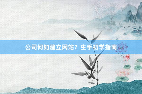 公司何如建立网站？生手初学指南