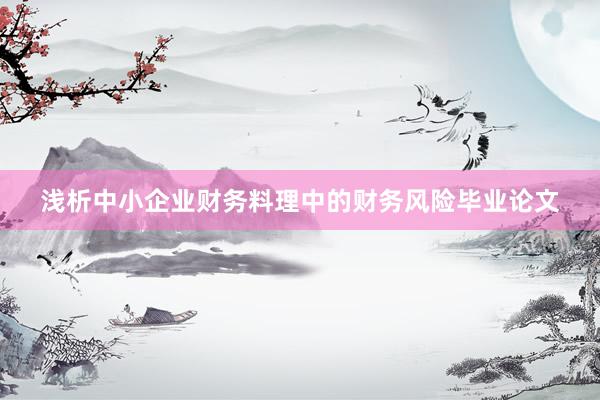 浅析中小企业财务料理中的财务风险毕业论文