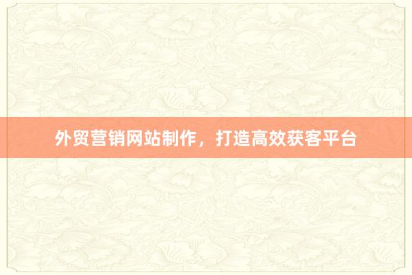 外贸营销网站制作，打造高效获客平台