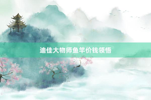 迪佳大物师鱼竿价钱领悟