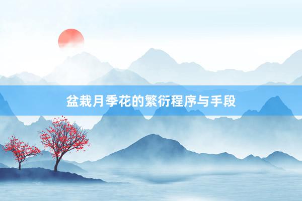 盆栽月季花的繁衍程序与手段